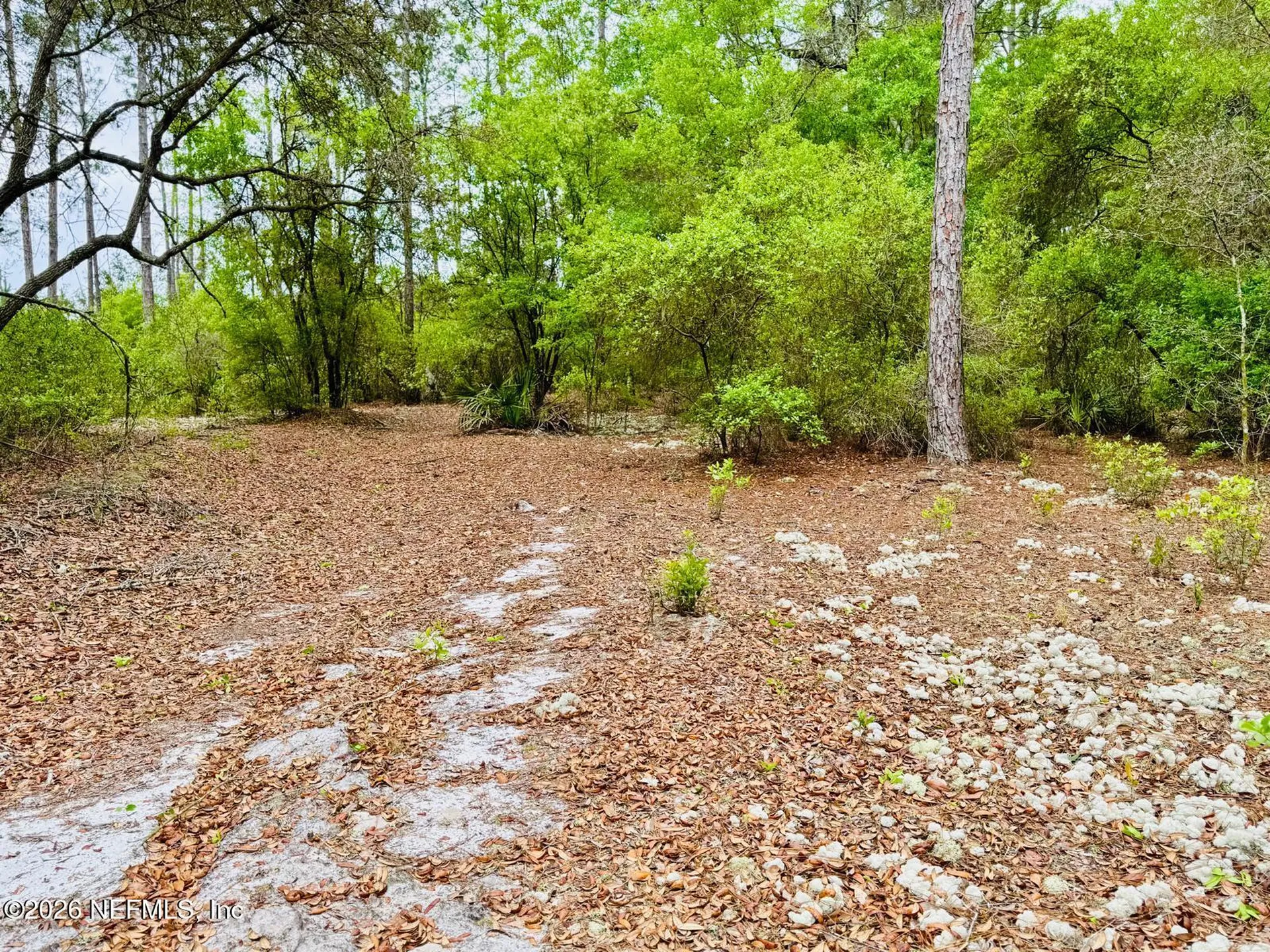 2857 Steel Bridge Road Macclenny FL 32063