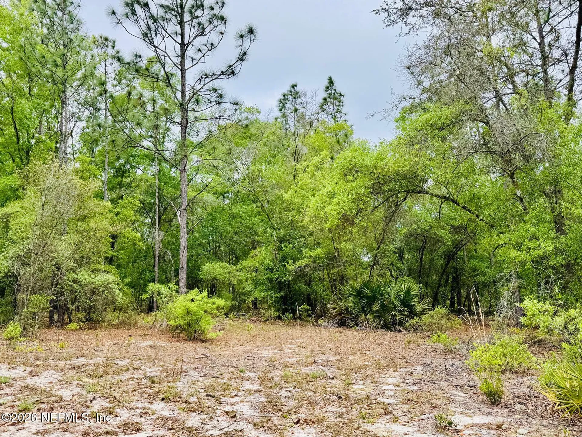 2857 Steel Bridge Road Macclenny FL 32063