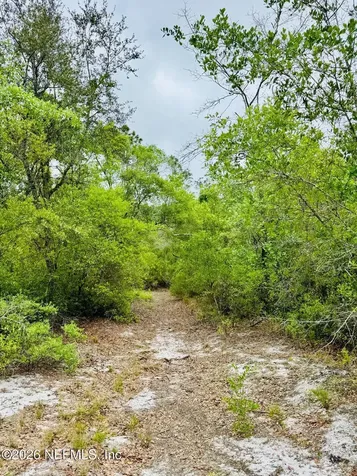2857 Steel Bridge Road Macclenny FL 32063