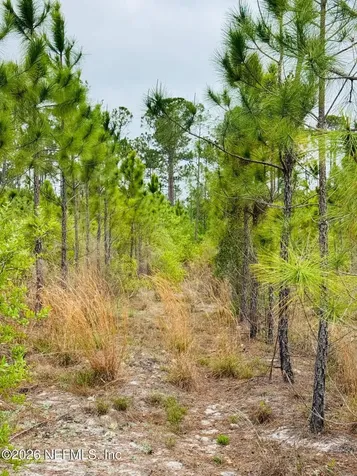 2857 Steel Bridge Road Macclenny FL 32063