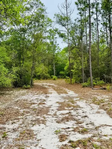 2857 Steel Bridge Road Macclenny FL 32063