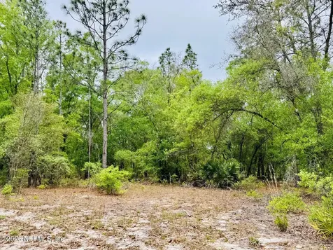 2857 Steel Bridge Road Macclenny FL 32063