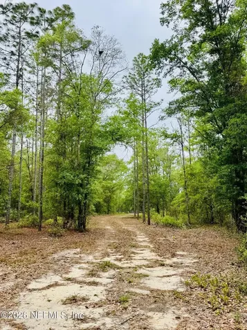 2857 Steel Bridge Road Macclenny FL 32063