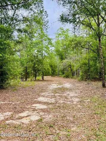 2857 Steel Bridge Road Macclenny FL 32063