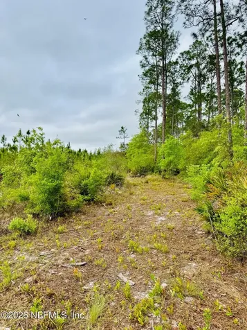 2857 Steel Bridge Road Macclenny FL 32063