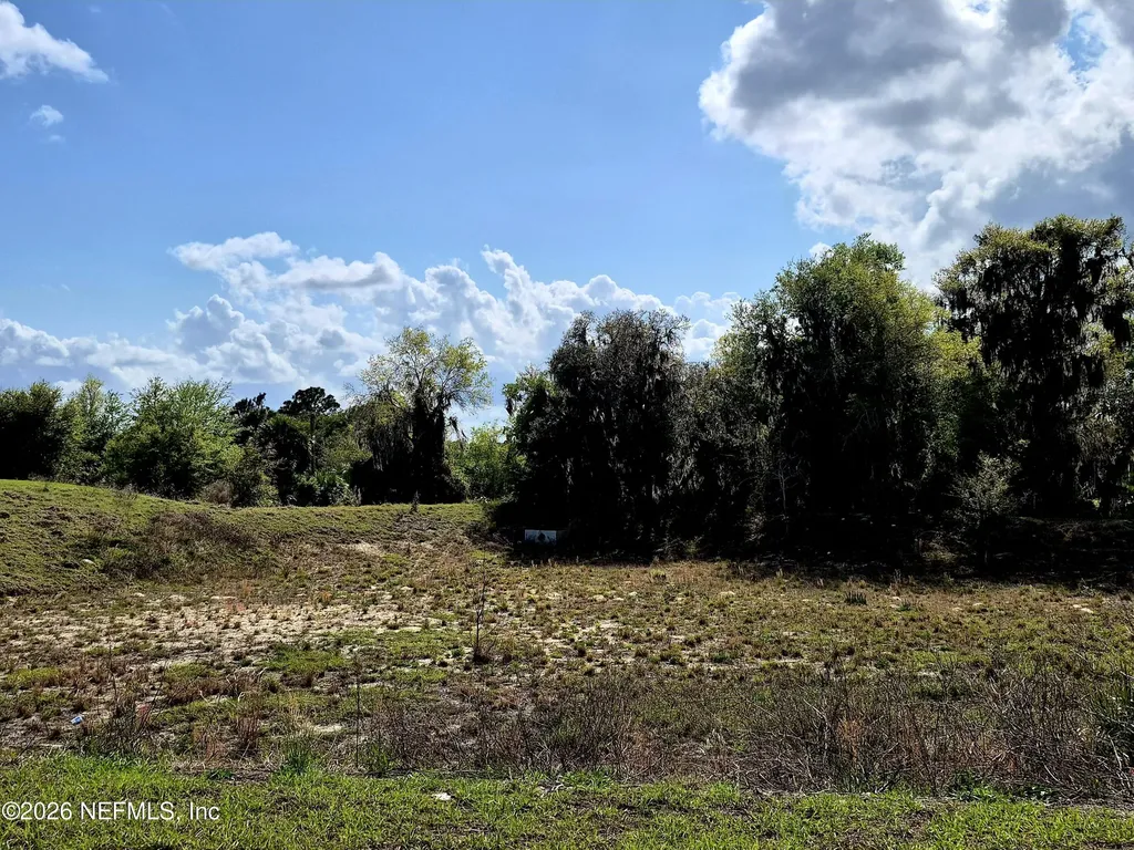 427 River Hill Drive Welaka FL 32193