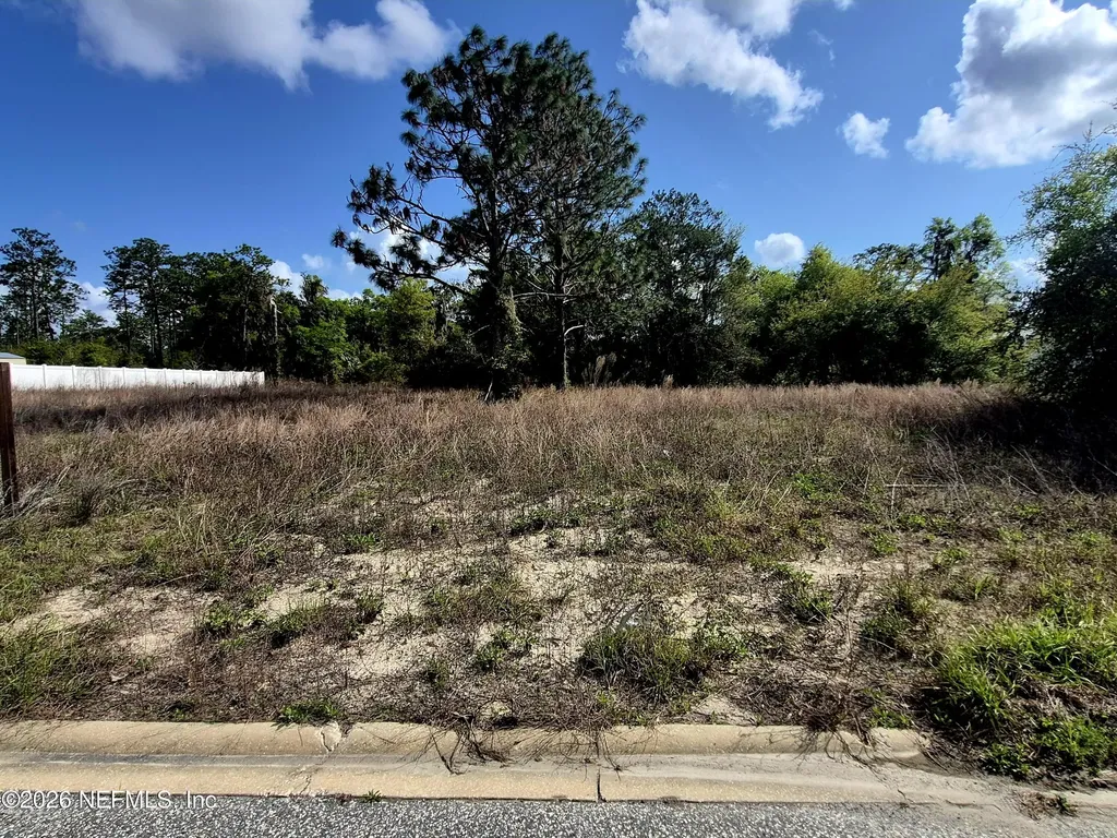 427 River Hill Drive Welaka FL 32193