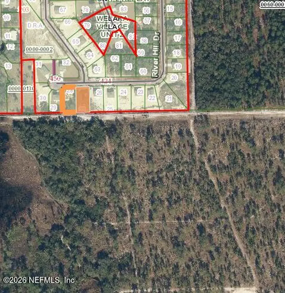 427 River Hill Drive Welaka FL 32193