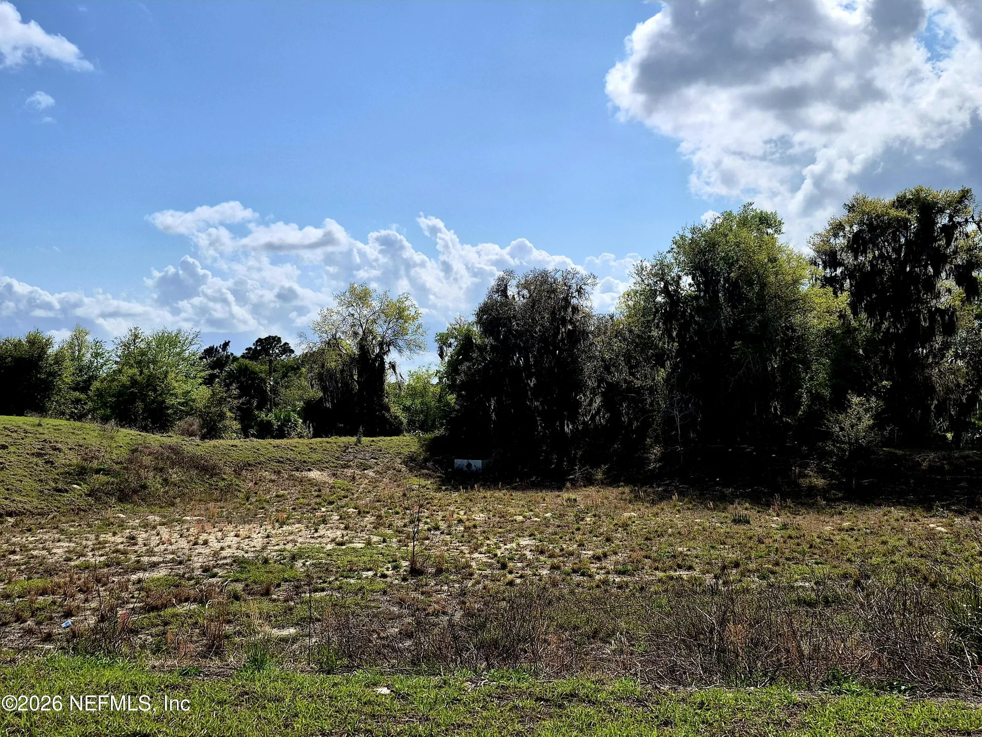 427 River Hill Drive Welaka FL 32193