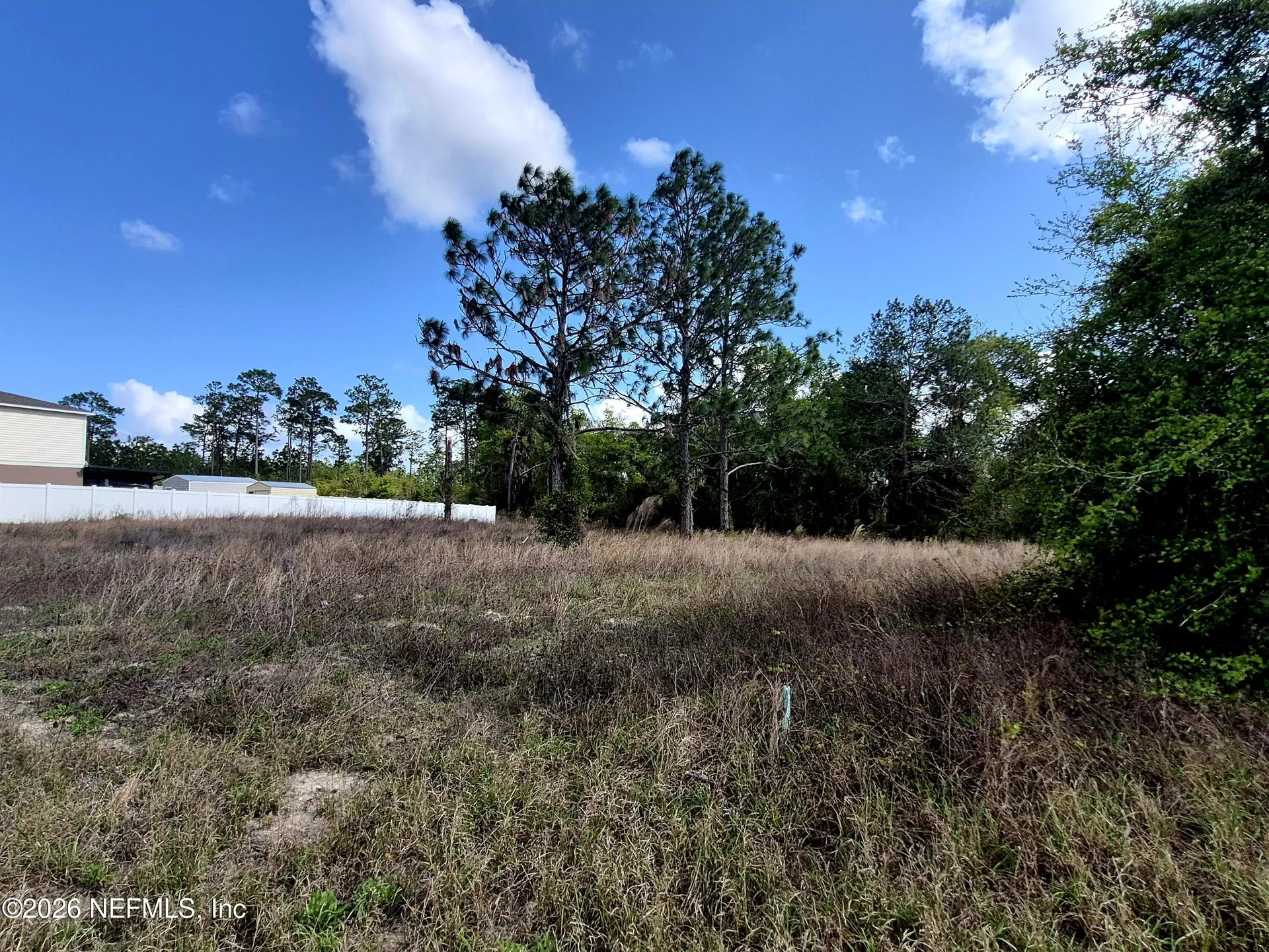427 River Hill Drive Welaka FL 32193