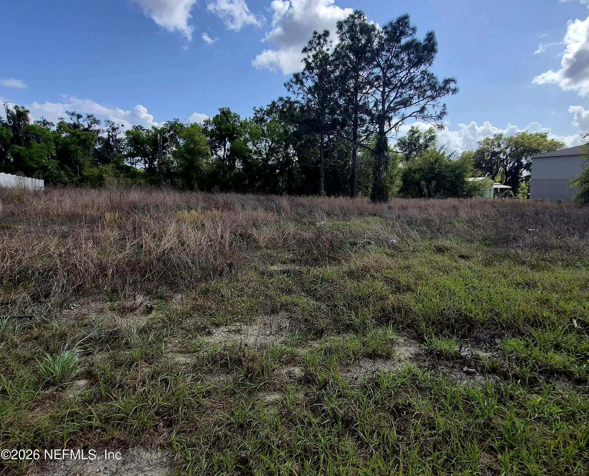 427 River Hill Drive Welaka FL 32193