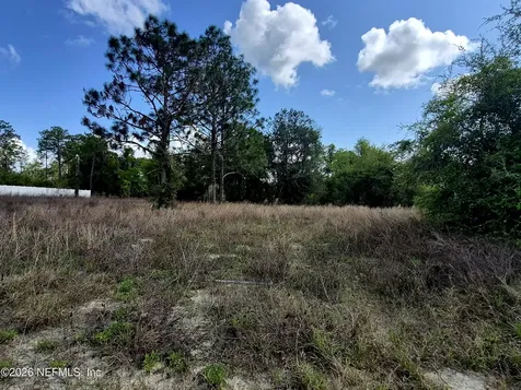 427 River Hill Drive Welaka FL 32193