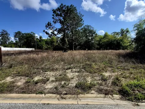 427 River Hill Drive Welaka FL 32193