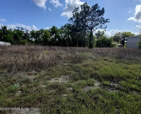 427 River Hill Drive Welaka FL 32193