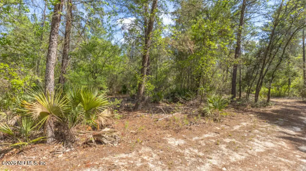 5276 Organic Road Melrose FL 32666