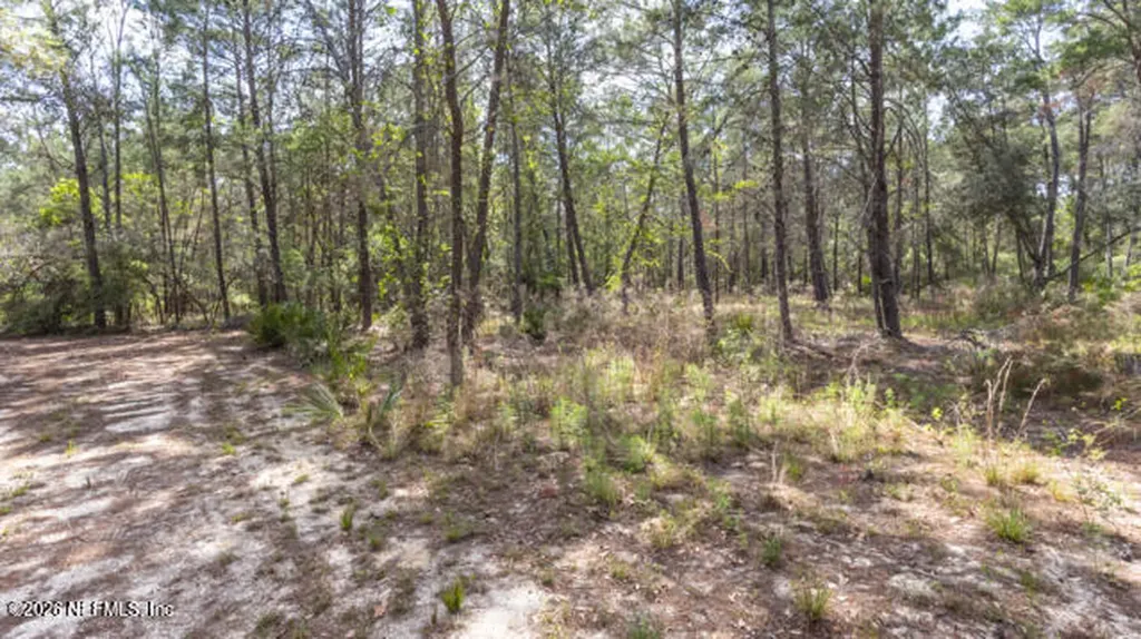5276 Organic Road Melrose FL 32666