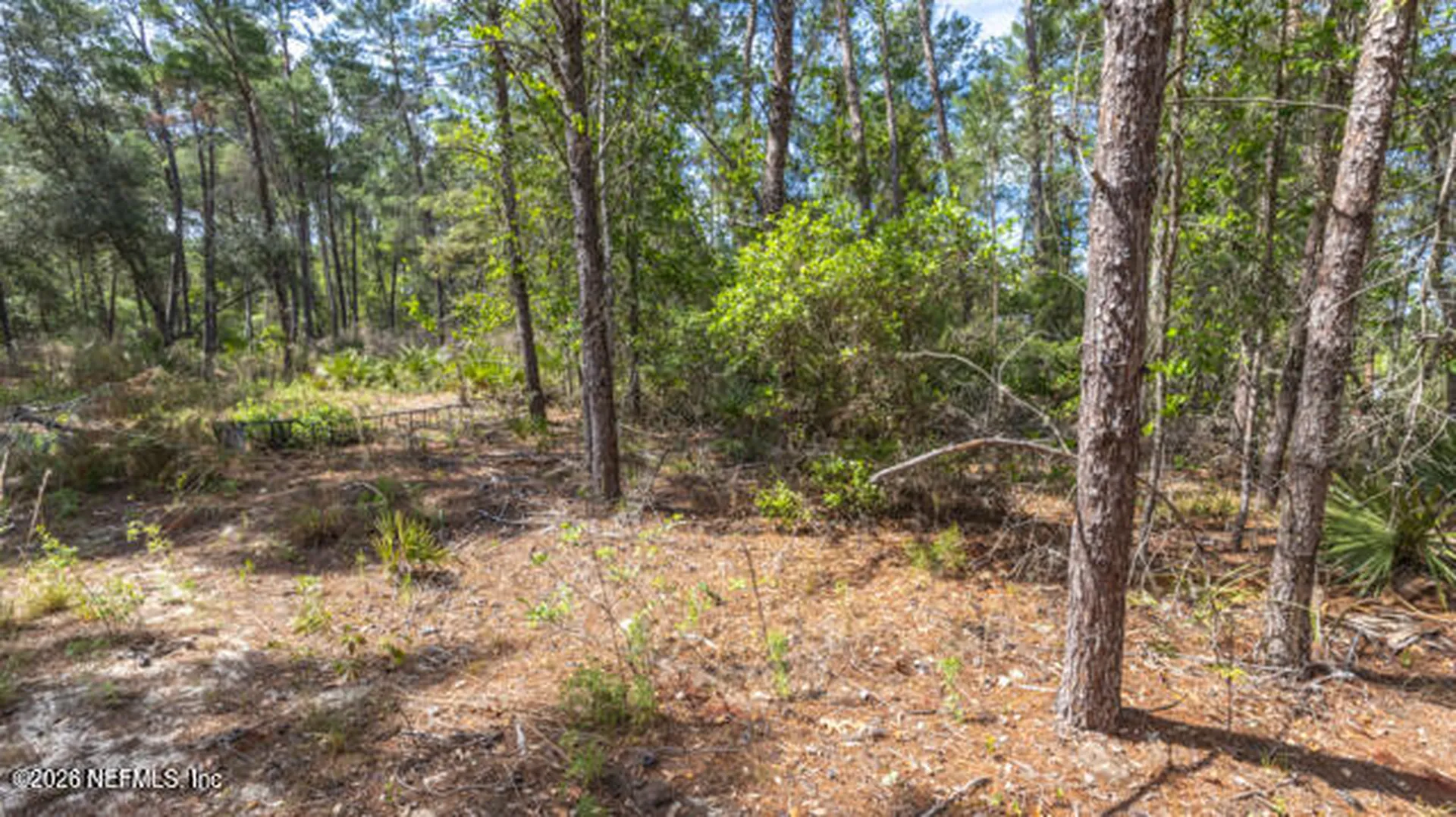 5276 Organic Road Melrose FL 32666
