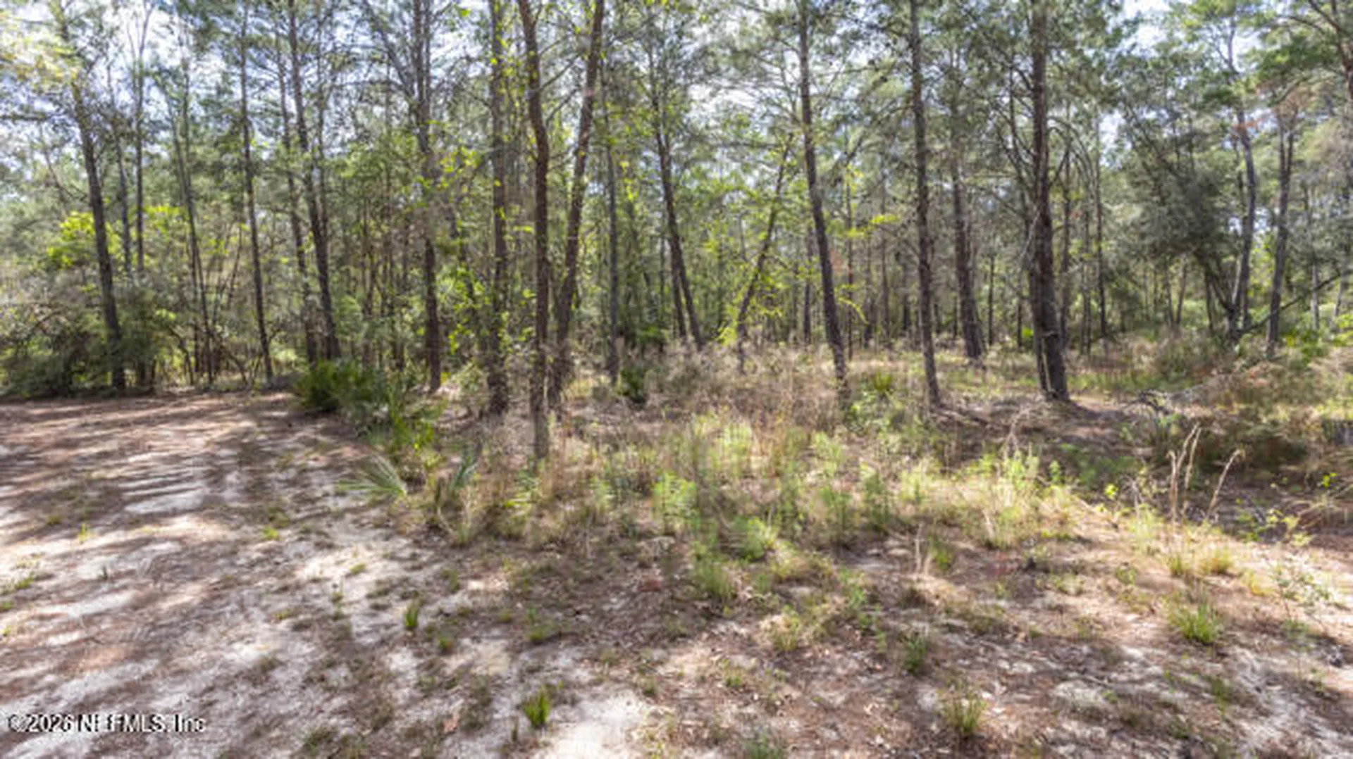 5276 Organic Road Melrose FL 32666
