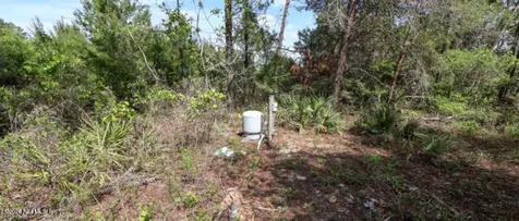 5276 Organic Road Melrose FL 32666