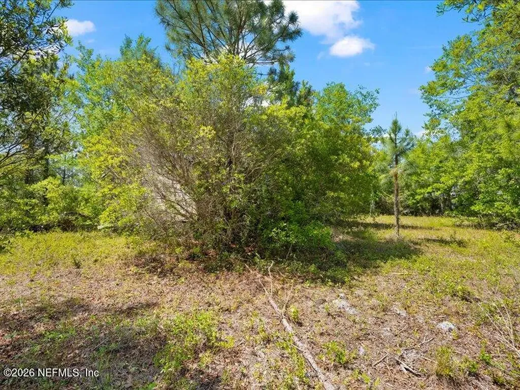 5371 Church Road St. Augustine FL 32092