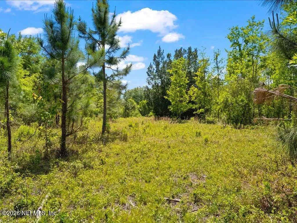 5371 Church Road St. Augustine FL 32092
