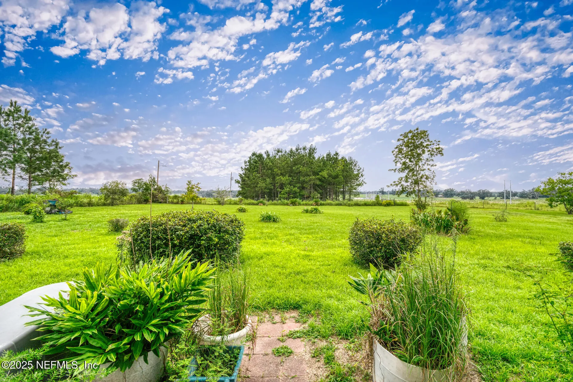 3704 NE Rocky Ford Road Madison FL 32340