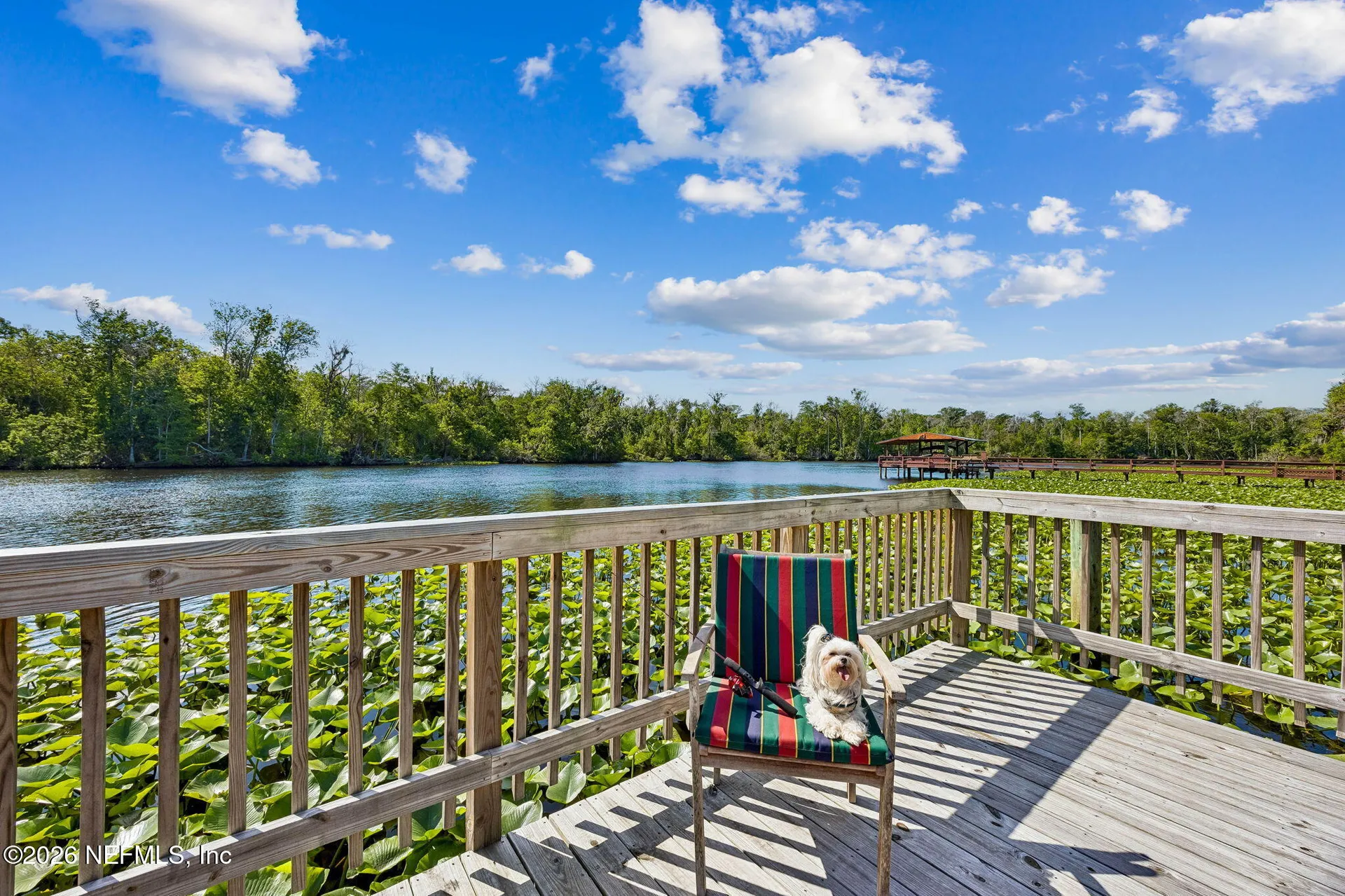 334 Paradise Circle Satsuma FL 32189