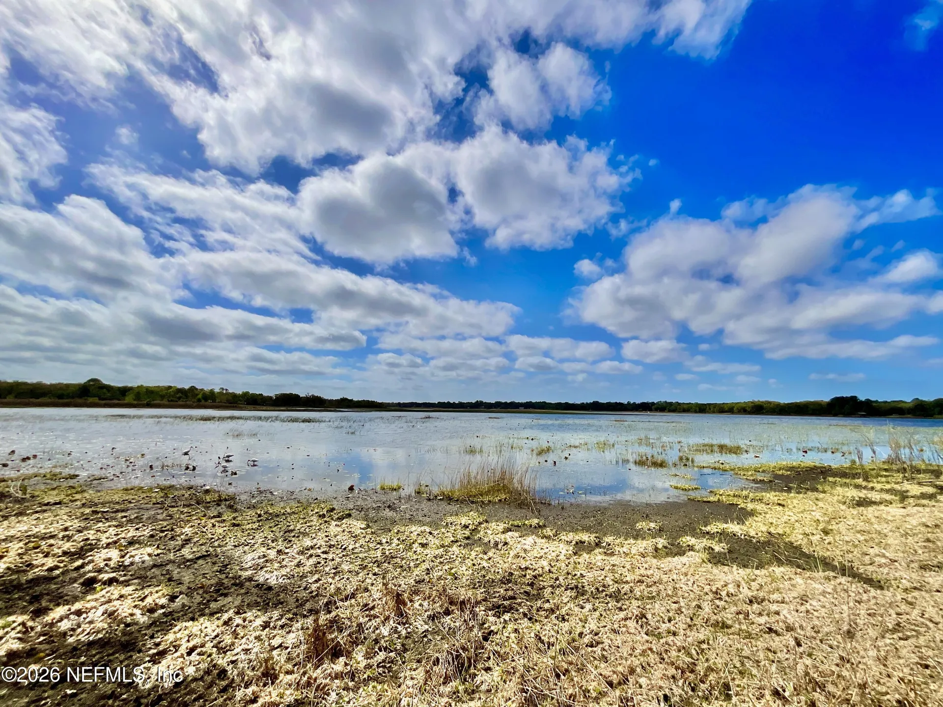 1837 State Road 20 Hawthorne FL 32640