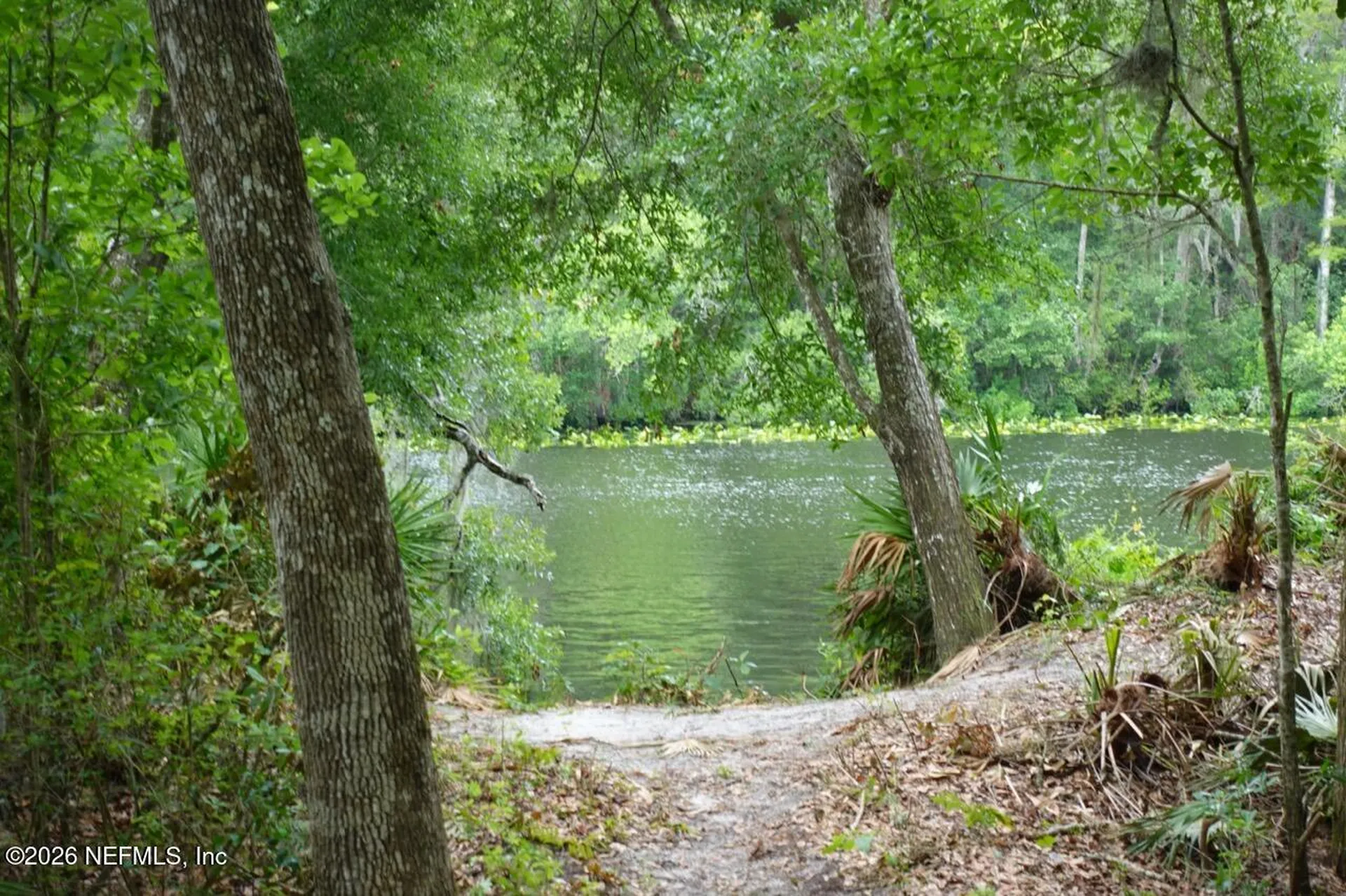 2139 2143 Charter Pointe Way Middleburg FL 32068