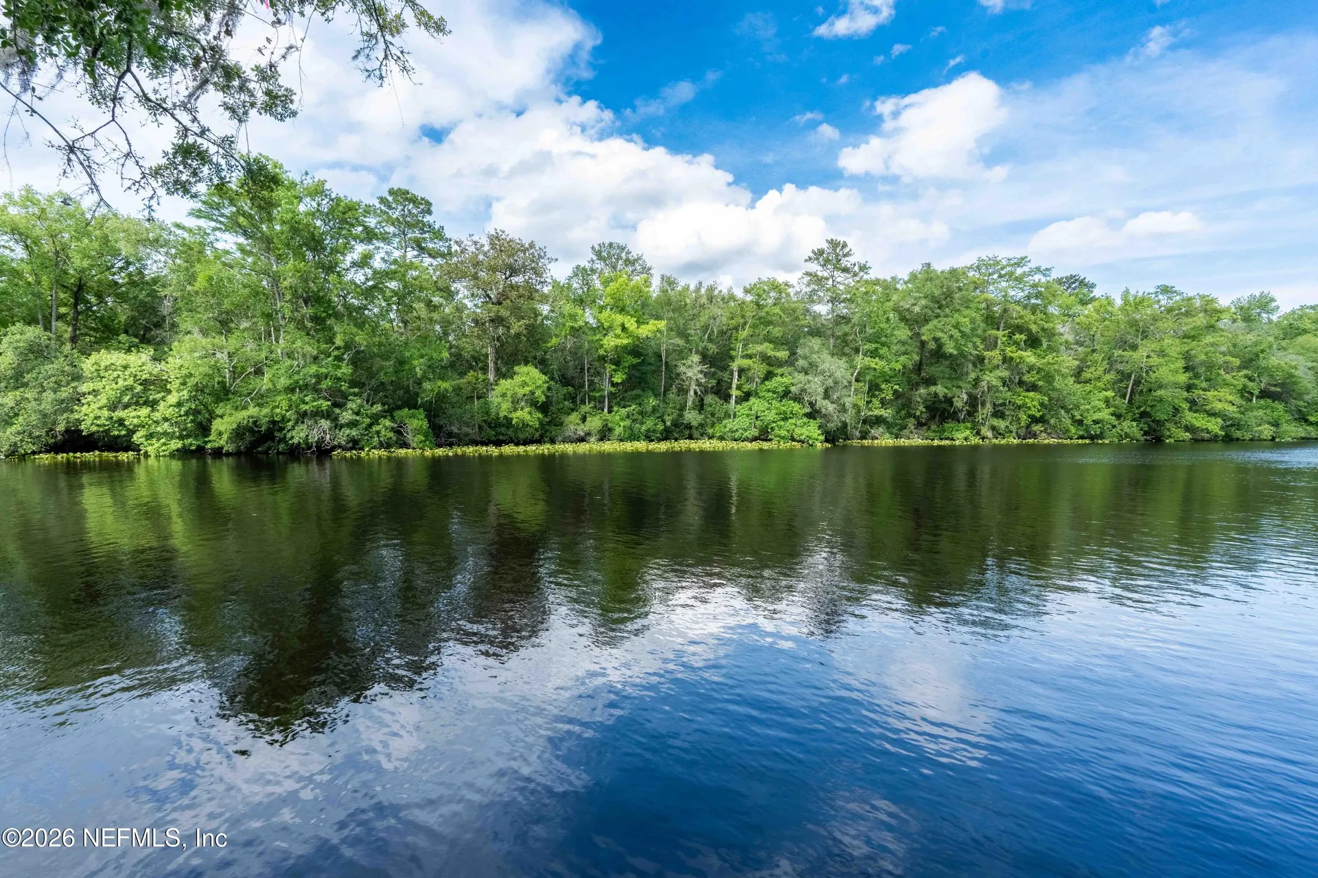 2139 2143 Charter Pointe Way Middleburg FL 32068