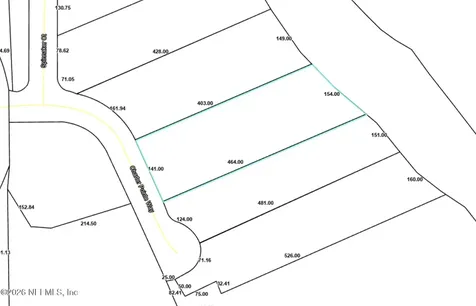 2139 2143 Charter Pointe Way Middleburg FL 32068