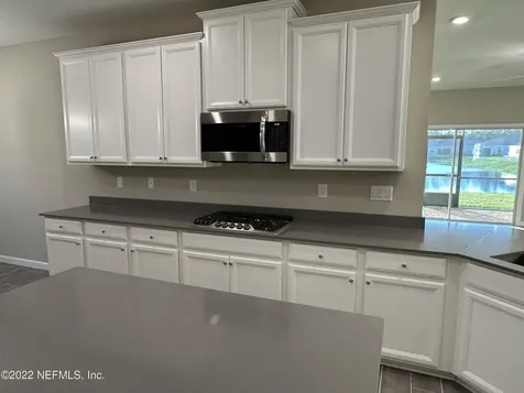 568 Brown Bear Fruit Cove FL 32259