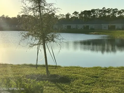568 Brown Bear Fruit Cove FL 32259