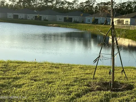 568 Brown Bear Fruit Cove FL 32259