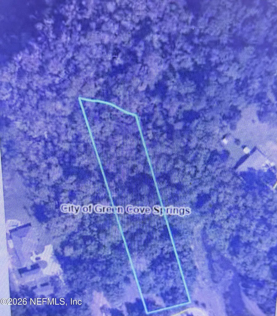 1302 East Street Green Cove Springs FL 32043