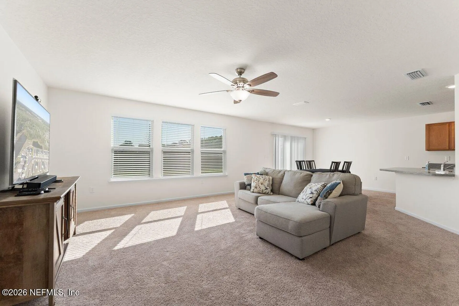 3010 Lucille Lane Middleburg FL 32068