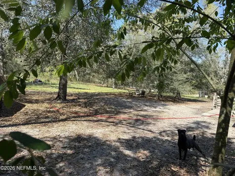 45 Mint Circle Middleburg FL 32068