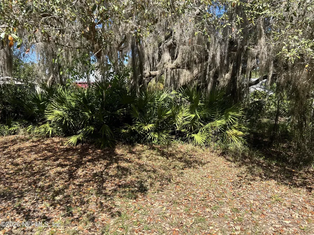 223 Oak Ridge Drive Welaka FL 32193