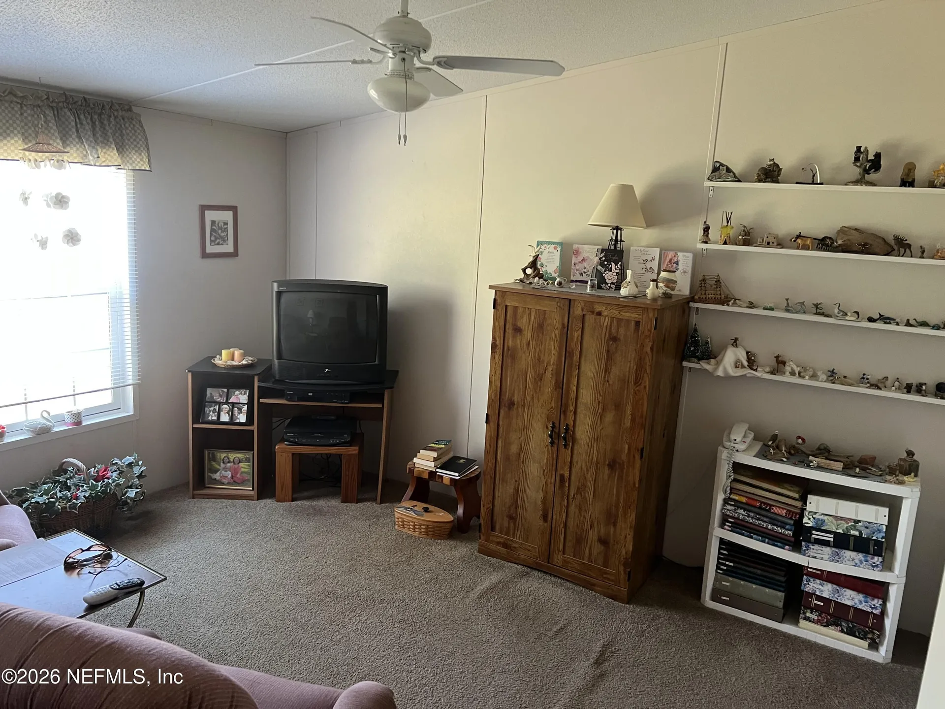 223 Oak Ridge Drive Welaka FL 32193