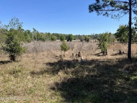 223 Oak Ridge Drive Welaka FL 32193