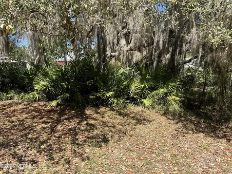 223 Oak Ridge Drive Welaka FL 32193