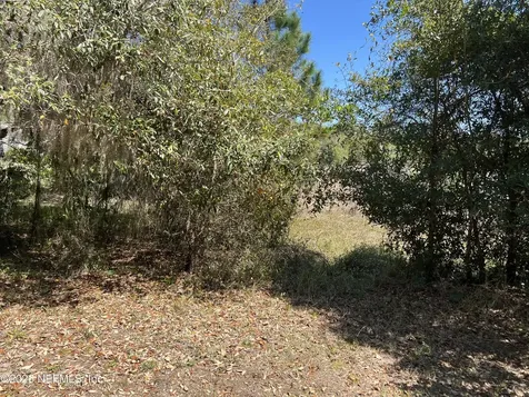 223 Oak Ridge Drive Welaka FL 32193