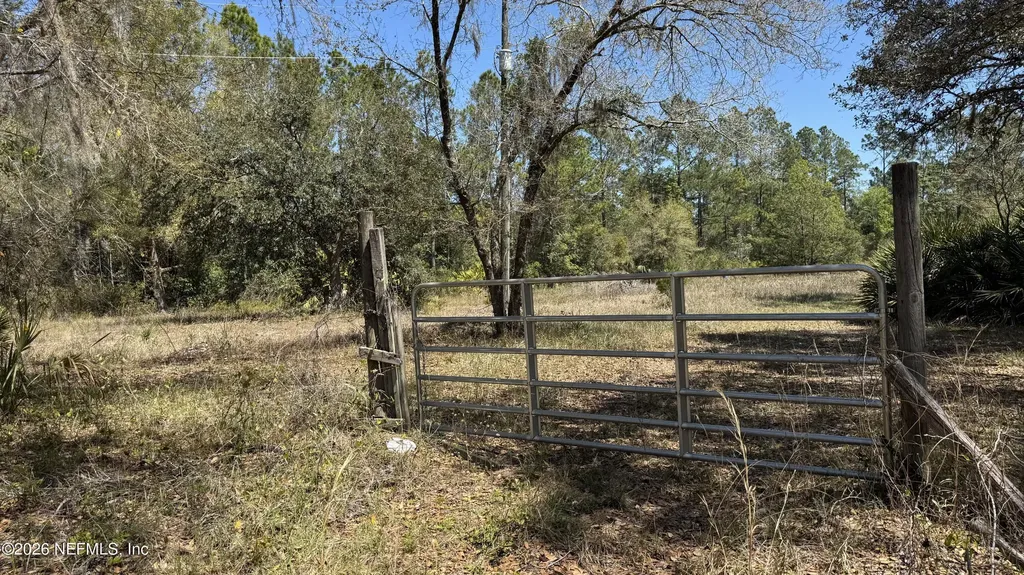1132 Cousintown Road Interlachen FL 32148