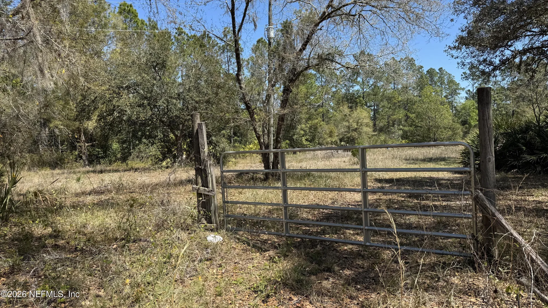 1132 Cousintown Road Interlachen FL 32148