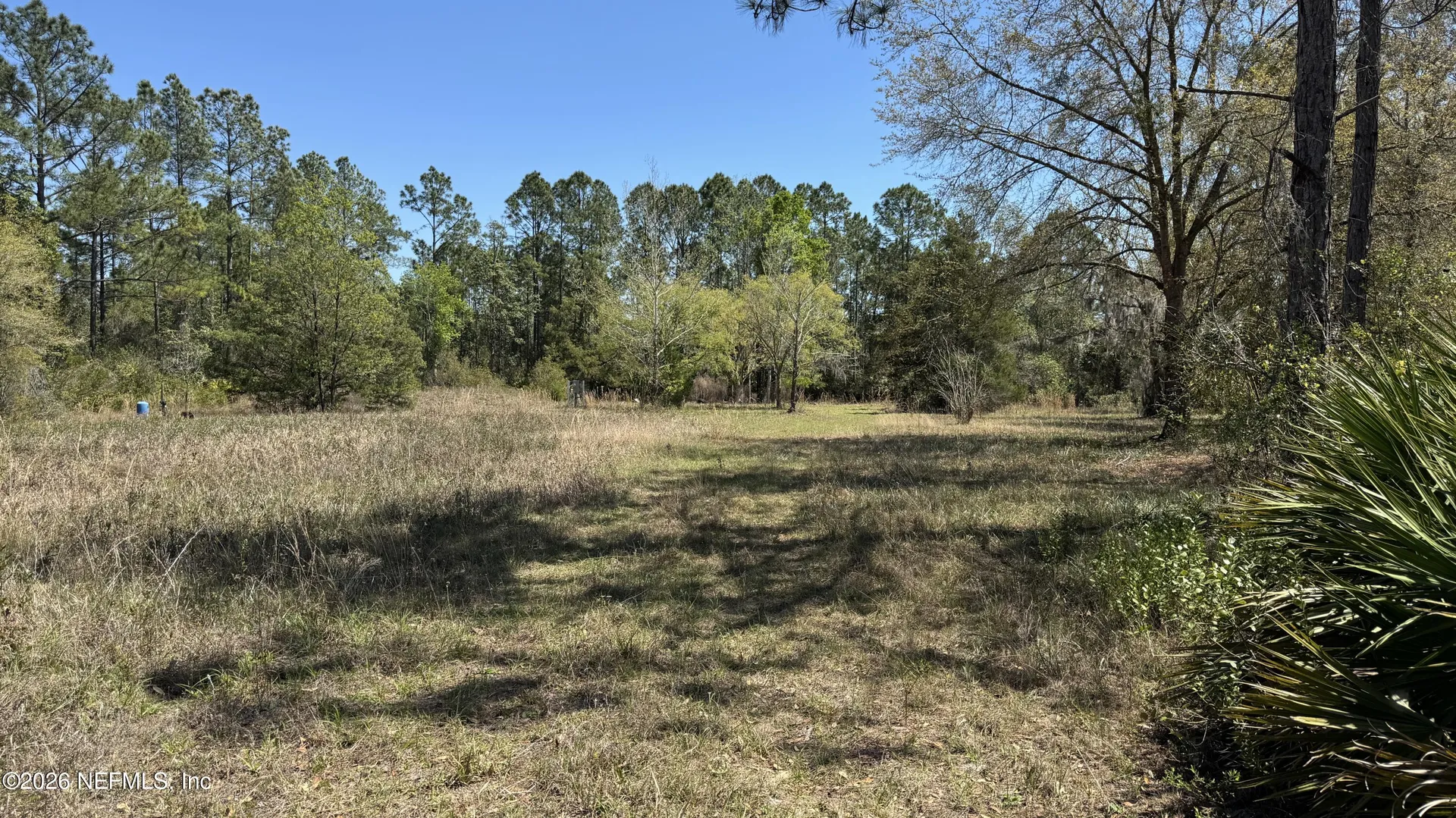 1132 Cousintown Road Interlachen FL 32148