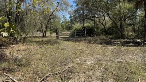1132 Cousintown Road Interlachen FL 32148