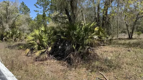 1132 Cousintown Road Interlachen FL 32148