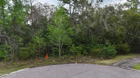 0 Detaille Drive Jacksonville FL 32209