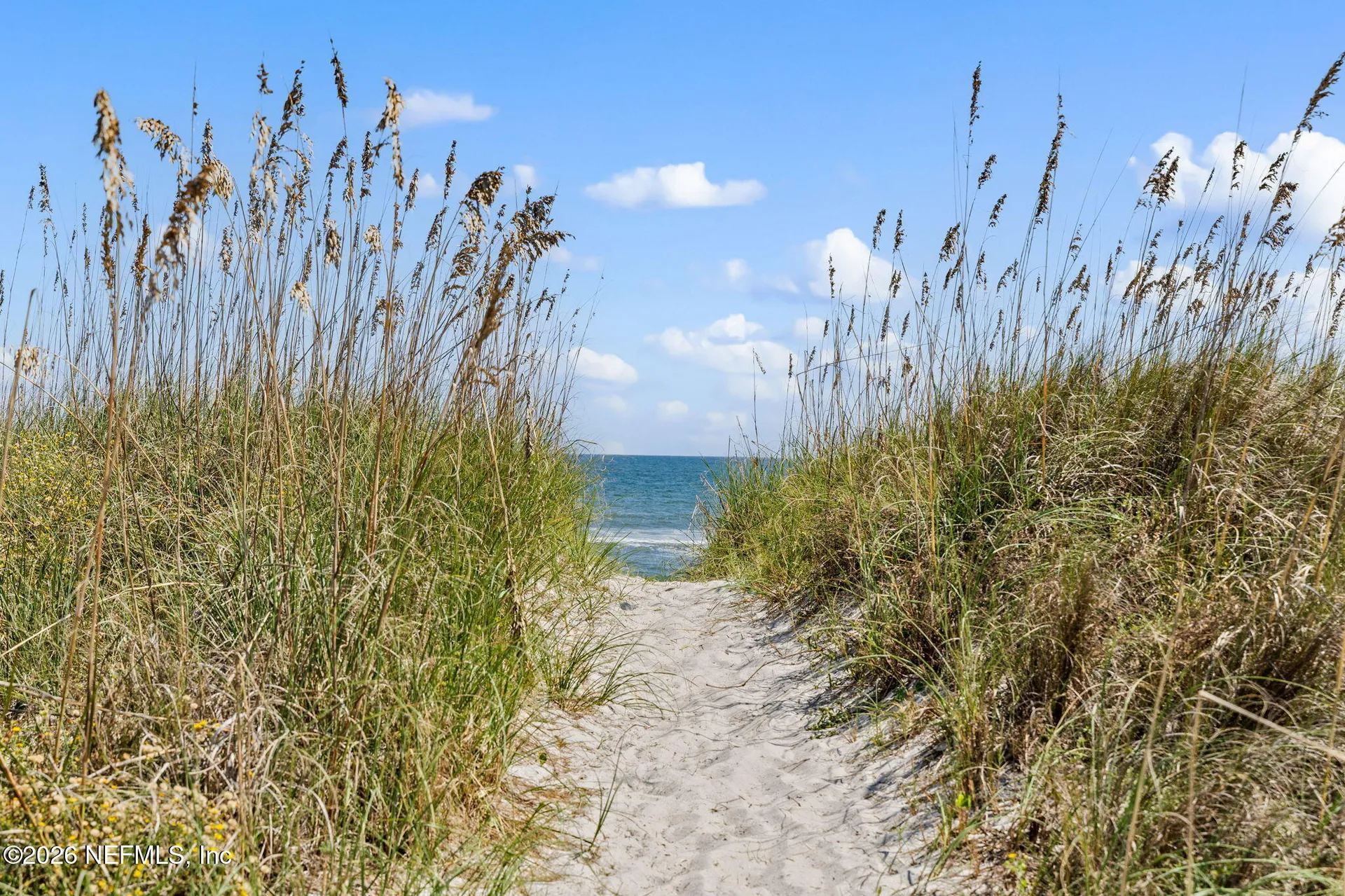 2890 S Fletcher Avenue Fernandina Beach FL 32034