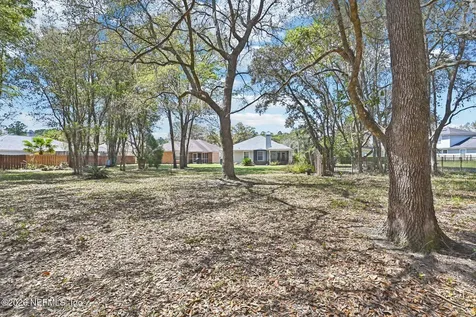 1436 Tintern Lane St. Johns FL 32092